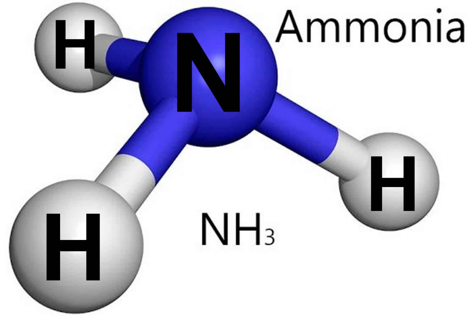 Unlocking Ammonia Production: A Deep Dive into the Haber-Bosch Process